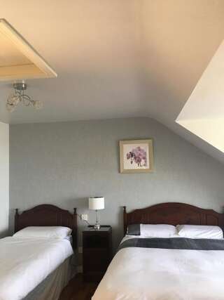 Отели типа «постель и завтрак» Rossbeigh Beach Guesthouse Россбей Двухместный номер с 2 отдельными кроватями-1